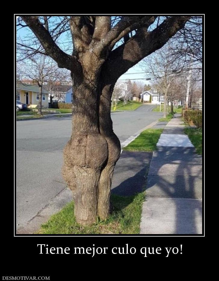 Tiene mejor culo que yo!