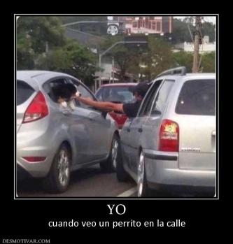 YO cuando veo un perrito en la calle