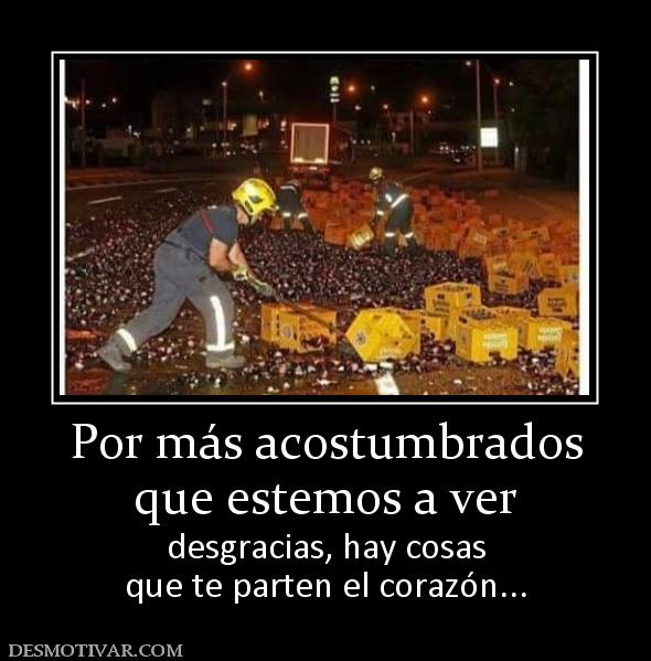 Por más acostumbrados que estemos a ver desgracias, hay cosas que te parten el corazón...