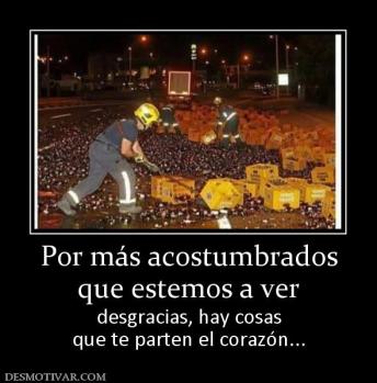 Por más acostumbrados que estemos a ver desgracias, hay cosas que te parten el corazón...