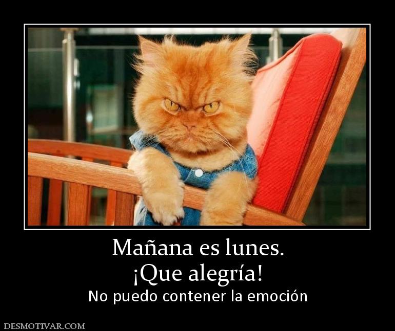 Mañana es lunes. ¡Que alegría! No puedo contener la emoción