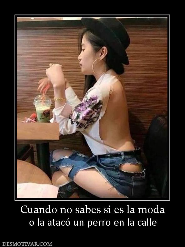 Cuando no sabes si es la moda o la atacó un perro en la calle