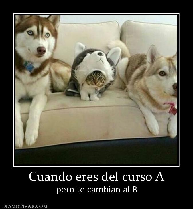Cuando eres del curso A pero te cambian al B