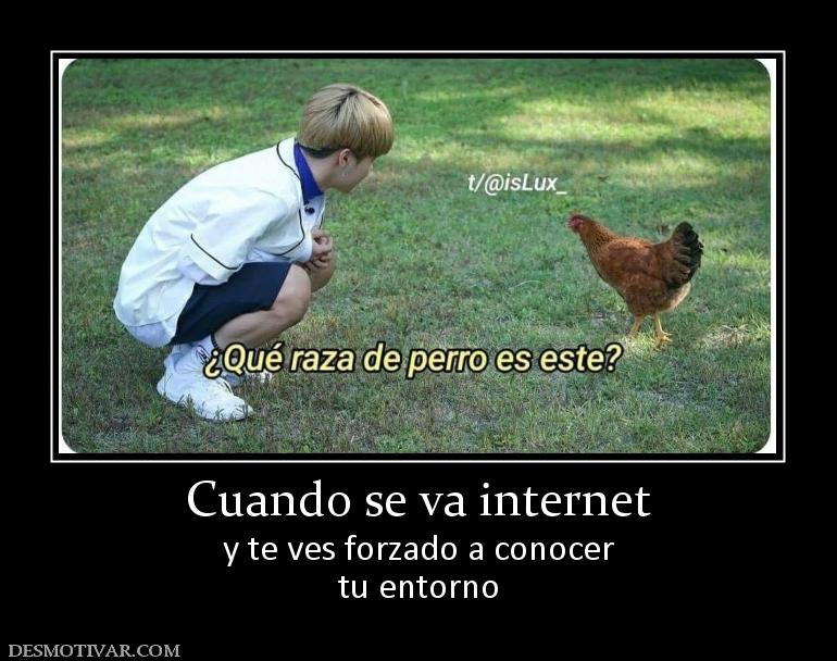Cuando se va internet y te ves forzado a conocer tu entorno