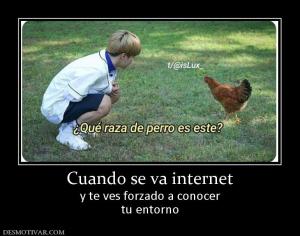 Cuando se va internet y te ves forzado a conocer tu entorno