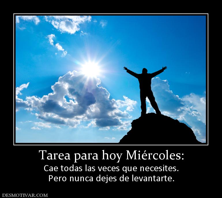 Tarea para hoy Miércoles: Cae todas las veces que necesites. Pero nunca dejes de levantarte.