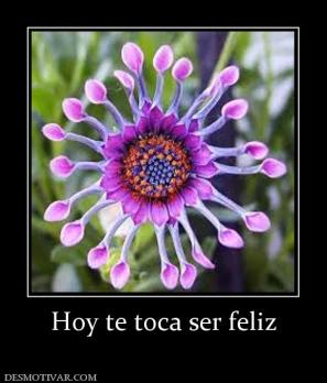 Hoy te toca ser feliz