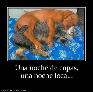 Una noche de copas, una noche loca...