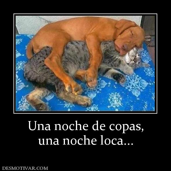 Una noche de copas, una noche loca...