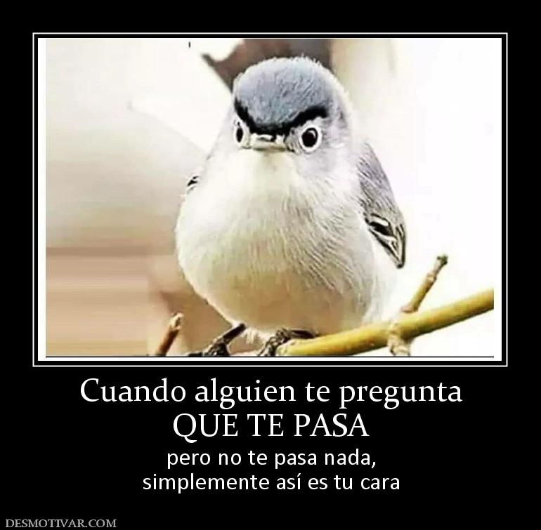 Cuando alguien te pregunta QUE TE PASA pero no te pasa nada, simplemente así es tu cara