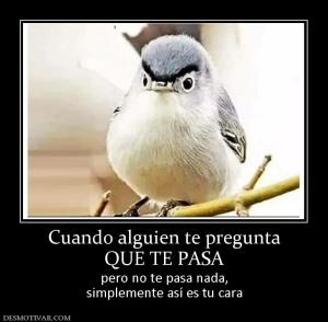 Cuando alguien te pregunta QUE TE PASA pero no te pasa nada, simplemente así es tu cara