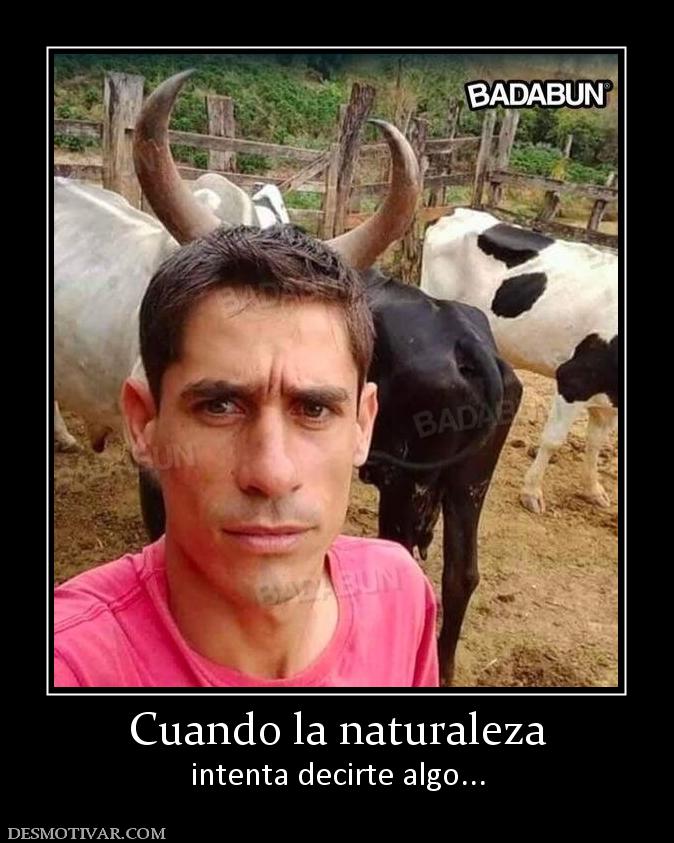 Cuando la naturaleza intenta decirte algo...