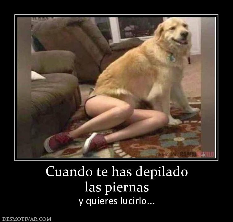 Cuando te has depilado las piernas y quieres lucirlo...