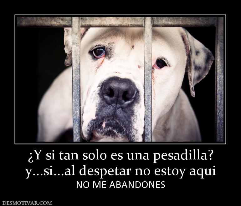 ¿Y si tan solo es una pesadilla? y...si...al despetar no estoy aqui NO ME ABANDONES