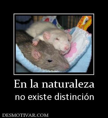 En la naturaleza no existe distinción
