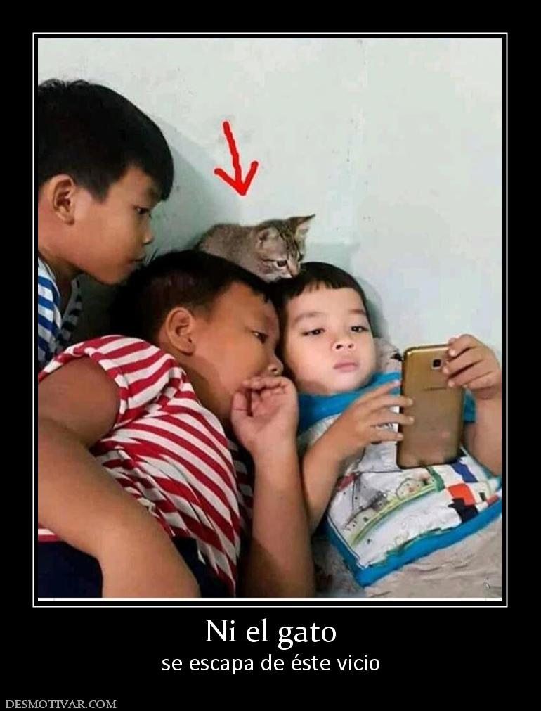Ni el gato se escapa de éste vicio
