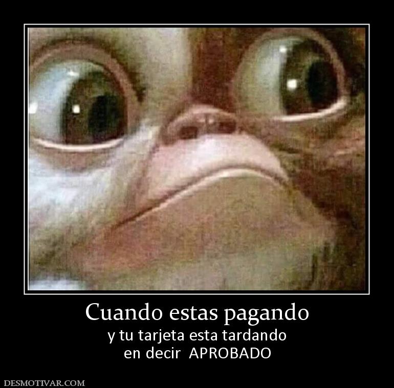 Cuando estas pagando y tu tarjeta esta tardando en decir  APROBADO