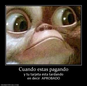 Cuando estas pagando y tu tarjeta esta tardando en decir  APROBADO