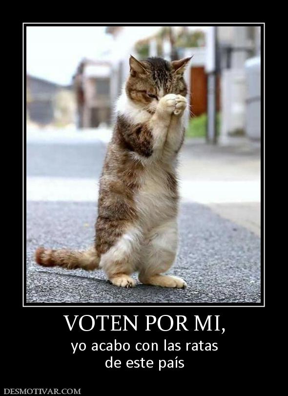 VOTEN POR MI, yo acabo con las ratas de este país