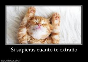 Si supieras cuanto te extraño