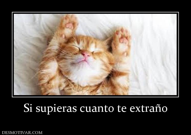 Si supieras cuanto te extraño