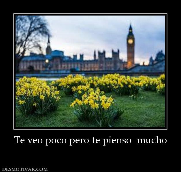Te veo poco pero te pienso  mucho