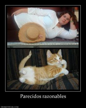 Parecidos razonables