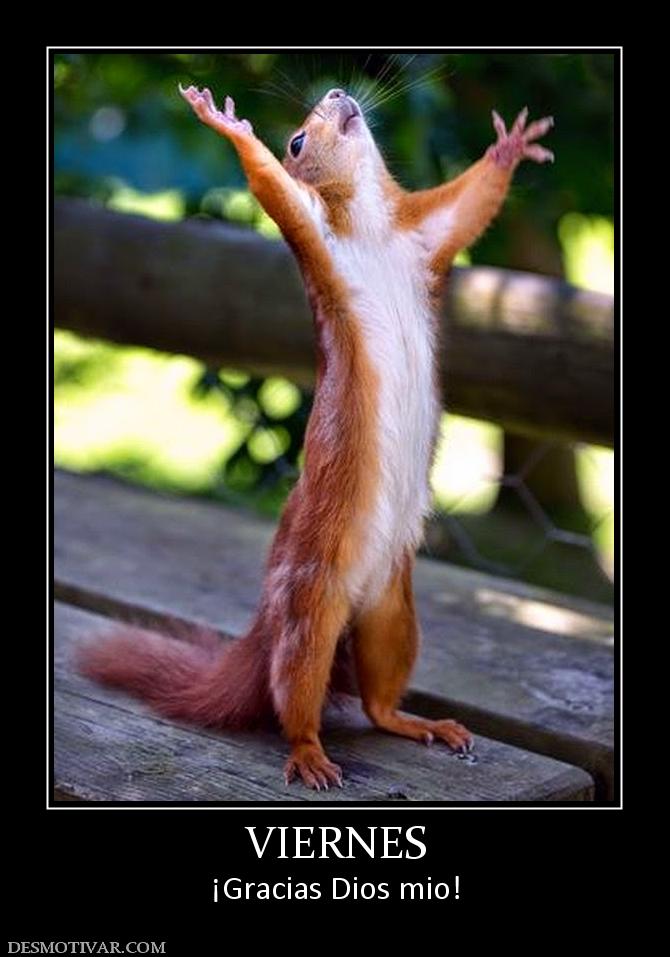VIERNES ¡Gracias Dios mio!