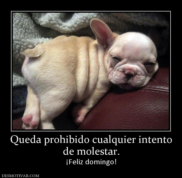 Queda prohibido cualquier intento de molestar. ¡Feliz domingo!