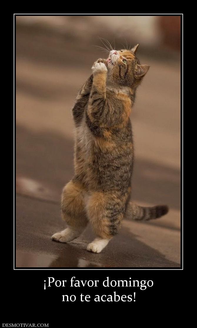 ¡Por favor domingo no te acabes!