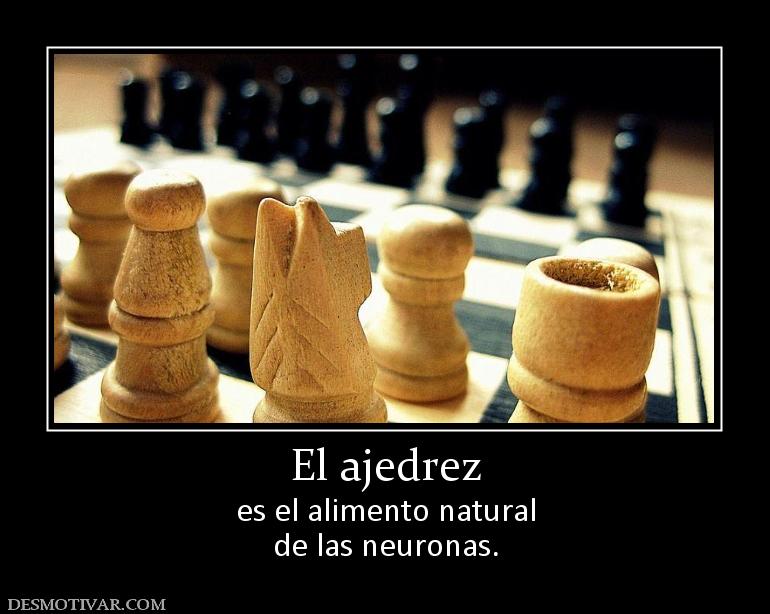El ajedrez es el alimento natural de las neuronas.