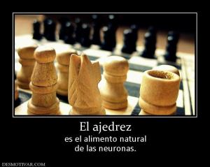 El ajedrez es el alimento natural de las neuronas.