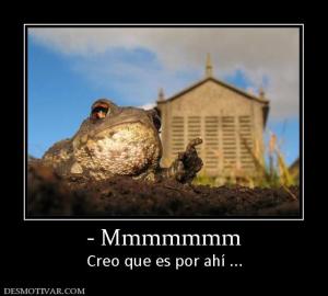 - Mmmmmmm Creo que es por ahí ...