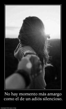 No hay momento más amargo como el de un adiós silencioso.
