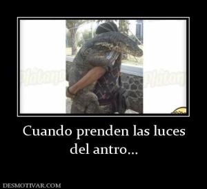 Cuando prenden las luces del antro...