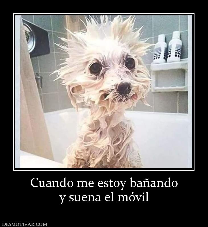 Cuando me estoy bañando y suena el móvil