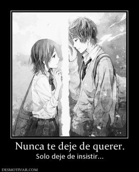 Nunca te deje de querer. Solo deje de insistir...