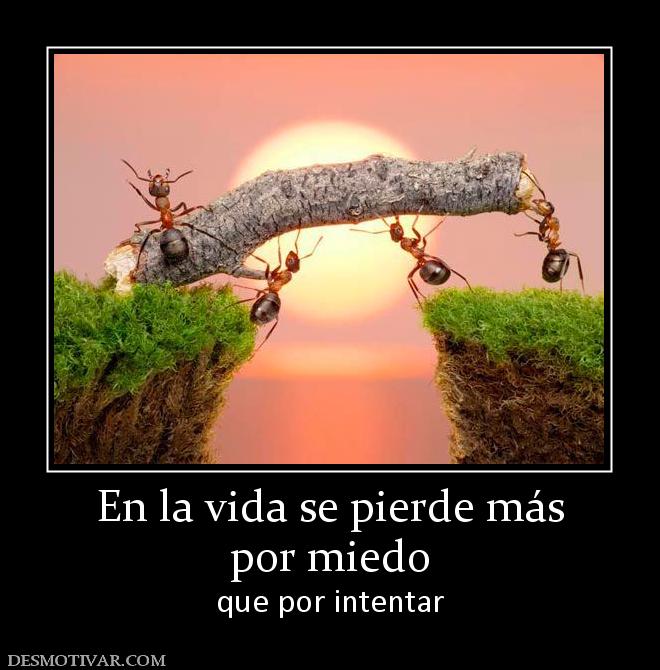 En la vida se pierde más por miedo que por intentar
