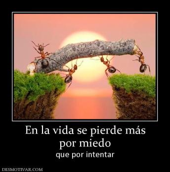 En la vida se pierde más por miedo que por intentar