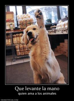 Que levante la mano quien ama a los animales