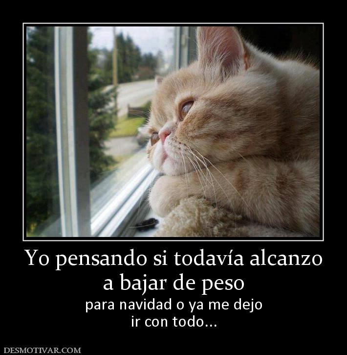 Yo pensando si todavía alcanzo a bajar de peso para navidad o ya me dejo ir con todo...