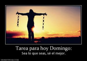 Tarea para hoy Domingo: Sea lo que seas, sé el mejor.