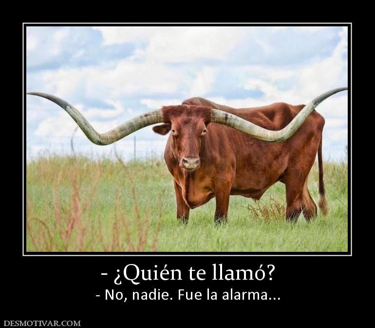 - ¿Quién te llamó? - No, nadie. Fue la alarma...