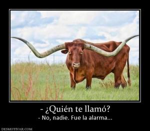 - ¿Quién te llamó? - No, nadie. Fue la alarma...