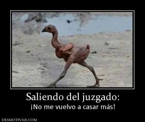 Saliendo del juzgado: ¡No me vuelvo a casar más!