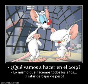 - ¿Qué vamos a hacer en el 2019? - Lo mismo que hacemos todos los años... ¡Tratar de bajar de peso!