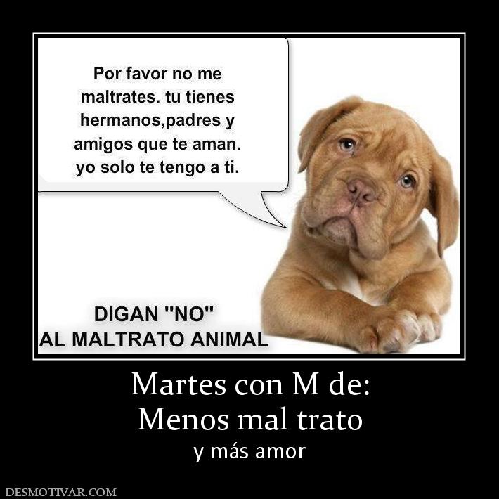 Martes con M de: Menos mal trato y más amor