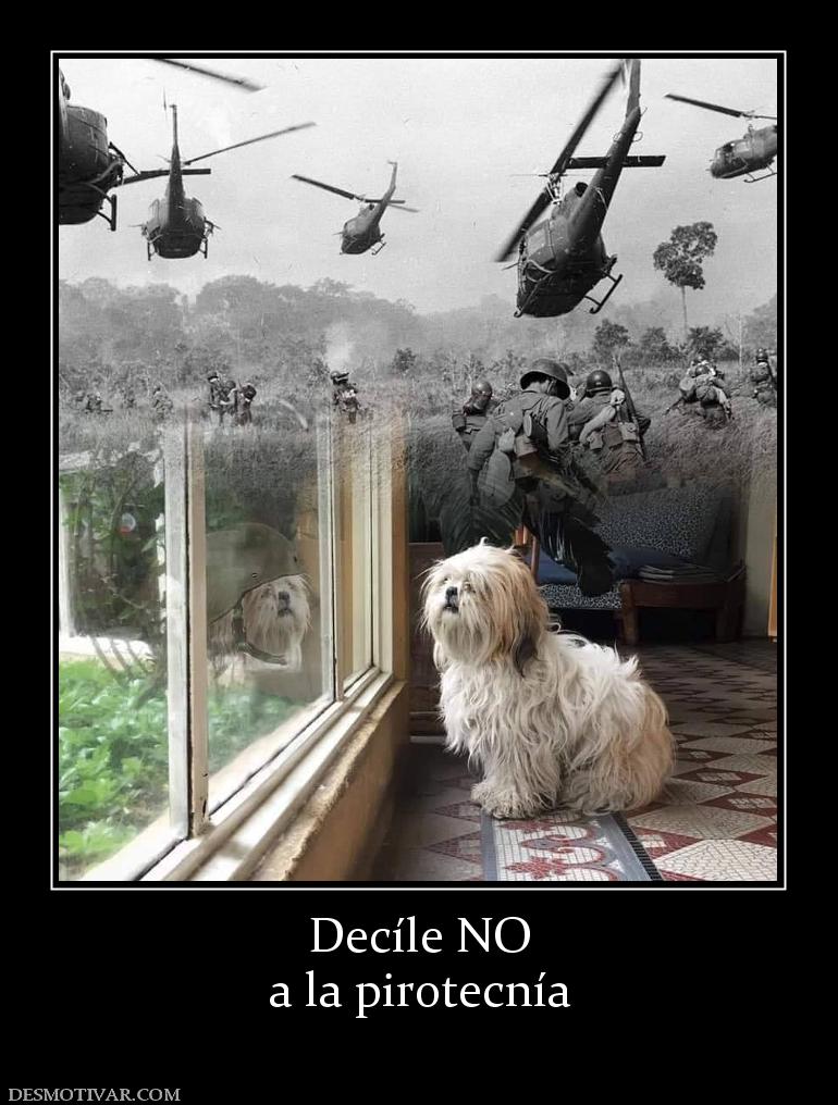 Decíle NO a la pirotecnía
