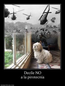 Decíle NO a la pirotecnía