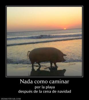 Nada como caminar por la playa después de la cena de navidad